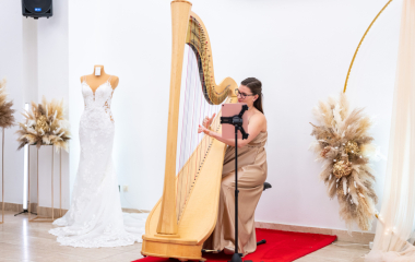 XXIV. reprezentační ples města Písku